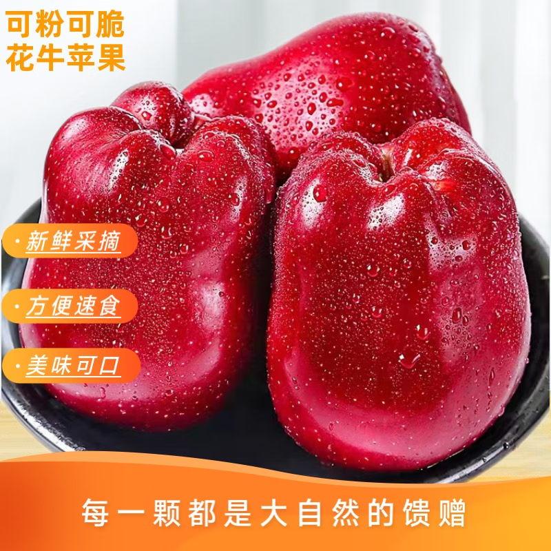 天水花牛苹果甘肃天水花牛苹果 粉面香甜 (需放粉) 新鲜水果 源头直发 中果净重4.5斤70-79mm