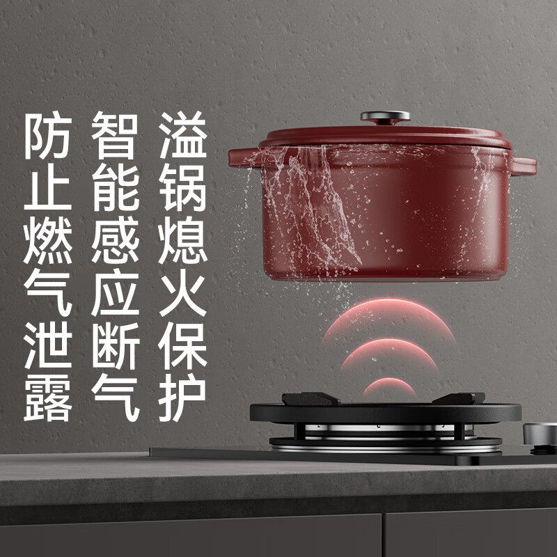 红日（RedSun）猛火单灶180min智能定时70%热效率DX03防烫熄火保护红外线燃气灶具台嵌两用节能省气 DX03液化气20Y