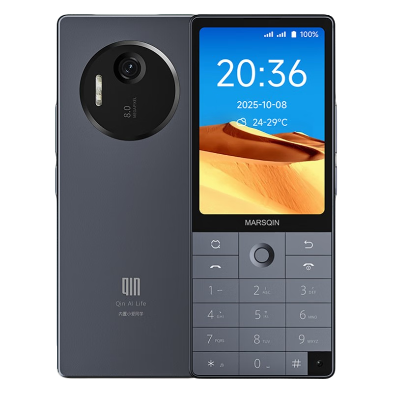 多親F25Pro無攝像頭工廠車間保密手機(jī)按鍵智能機(jī)兒童學(xué)生手機(jī)戒網(wǎng)癮微信抖音釘釘老年機(jī)老人手機(jī)備用機(jī) 鐵灰色-帶前后攝像頭 6+128GB