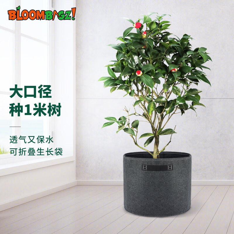 花盆花器购物助手|花盆花器价格比较