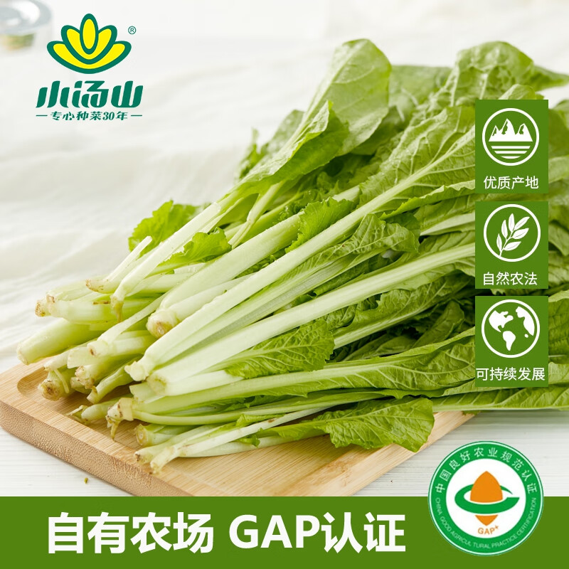 小汤山 小白菜 250g 基地直供新鲜蔬菜GAP认证