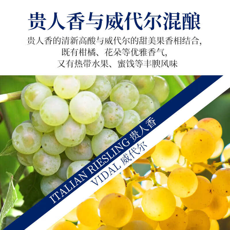 王朝（DYNASTY）干白 梦园贵人香半甜白葡萄酒 10度微醺小甜酒  年货送礼自用佳品 750ml