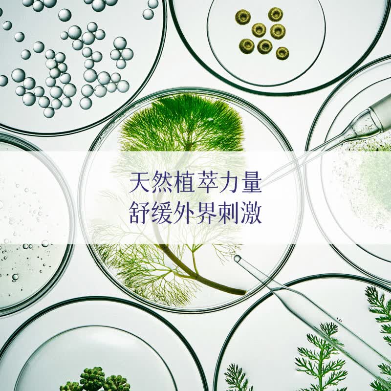 美学家智肽舒缓补水喷雾保湿爽肤水妆前晒后湿敷生日礼物女生男士护肤品 喷雾100ml*1瓶