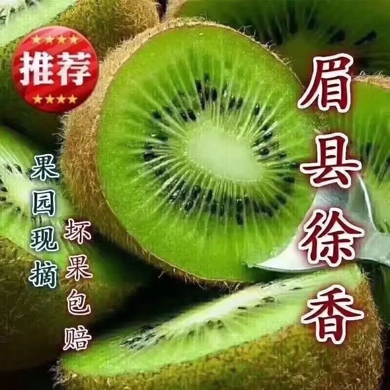 陕西眉县徐香猕猴桃新鲜当季时令水果自家果园现摘现发（礼盒装） 3Kg 24枚装