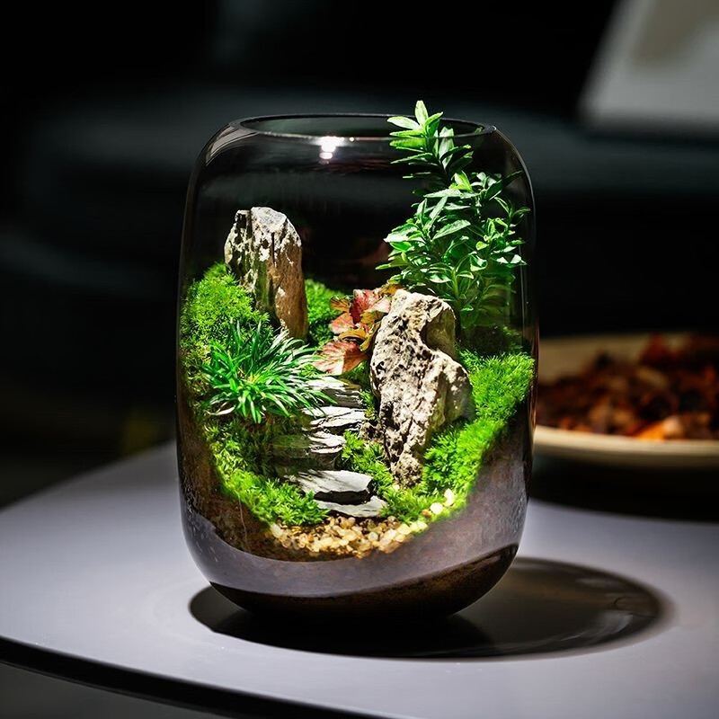 封茗【生命之树】生态瓶苔藓微景观青苔造景缸植物办公室绿植桌面盆栽 步步高升(悟空版)单景观