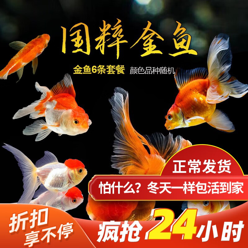 水族活体查这个商品的价格走势|水族活体价格走势