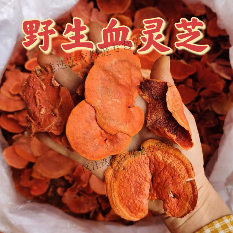 同仁堂藏区龙血灵芝中药材500g正宗野生血灵芝老树生长牛樟芝红栓菌