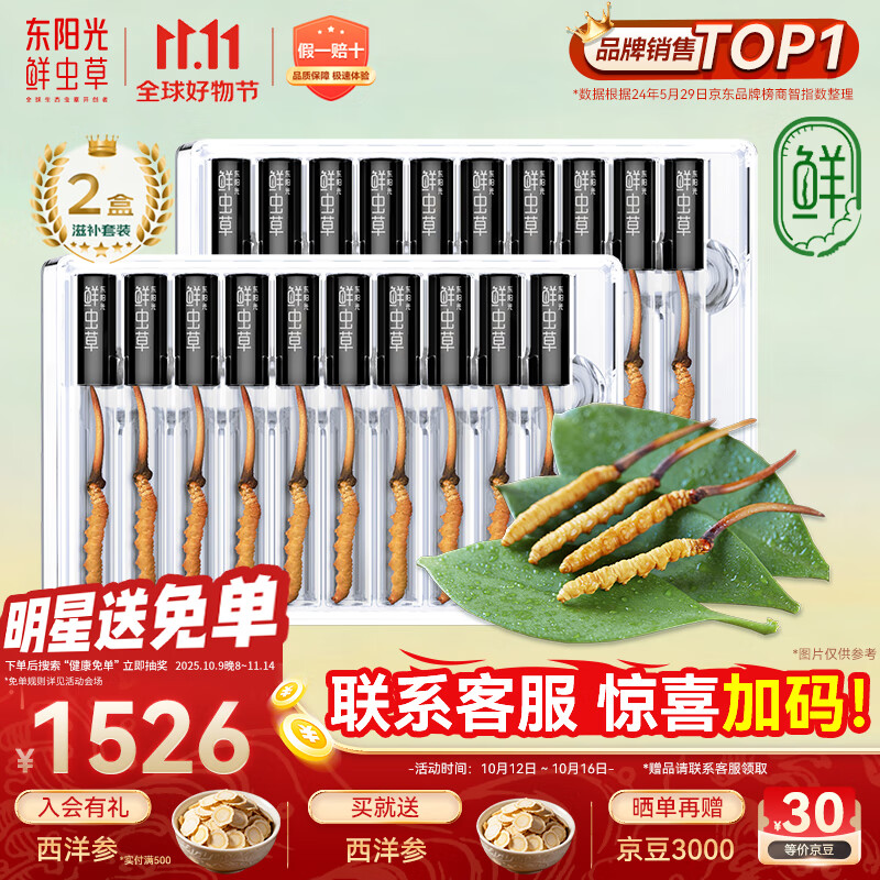 东阳光鲜虫草0.4-0.6g/根20根新鲜冬虫夏草补品送长辈老人源头直发包邮