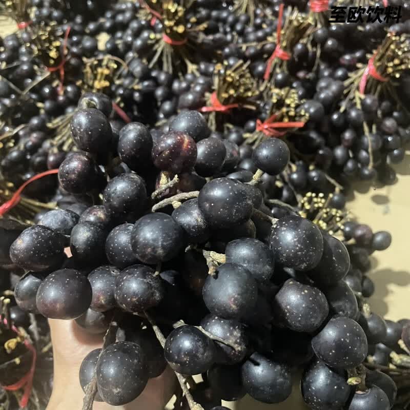 云南成熟胭脂果新鲜上市德宏特有野果山李子鬼眼睛酸甜 2斤