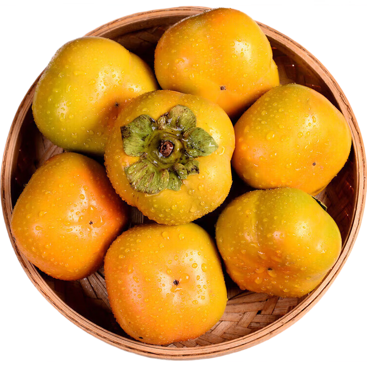 阳丰脆柿 新鲜巧克力柿子 吃硬的应季水果  脆甜可口 带箱3斤  单果80g+ 约13-17个左右