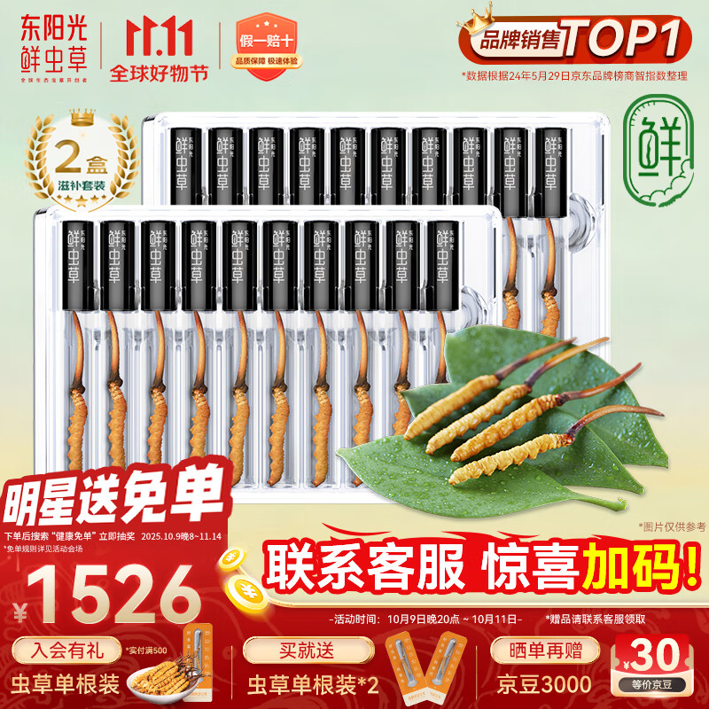 东阳光鲜虫草0.4-0.6g/根20根新鲜冬虫夏草补品送长辈老人源头直发包邮