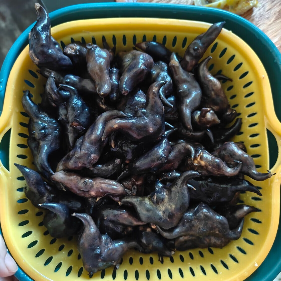 洪湖新鲜菱角清香入味欧泽老菱角煲汤老菱角黑菱角现摘湖北特产 洪湖老菱角 软糯香甜 3斤 菱角皮脆肉美,蒸煮后剥壳食用,亦可熬粥食菱角
