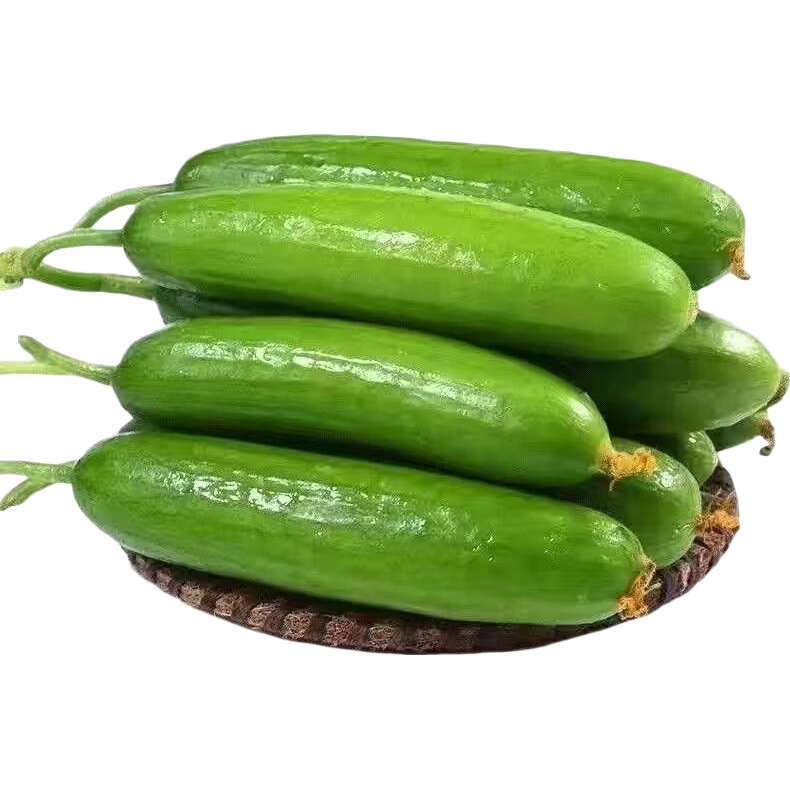 �ٹ� С�ƹ� ����� 5����� ũ���߲� 1�� 7.9Ԫ