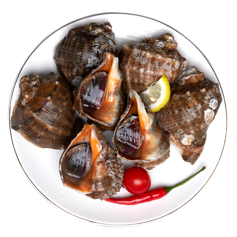 �ʾ��� �ʻ�� ����2�� 5-7ֻ/�� �ʻ�� ���ʺ��� Դͷֱ�� 76.9Ԫ