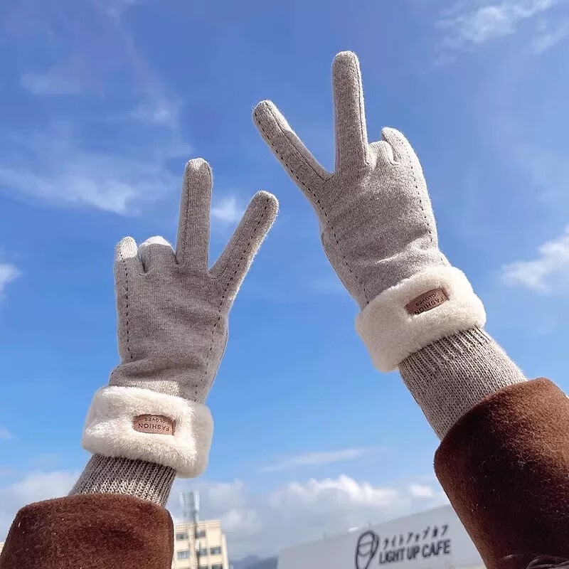 气质手套女士冬季骑行保暖加绒加厚触屏学生骑车防风防寒 黑色 均码