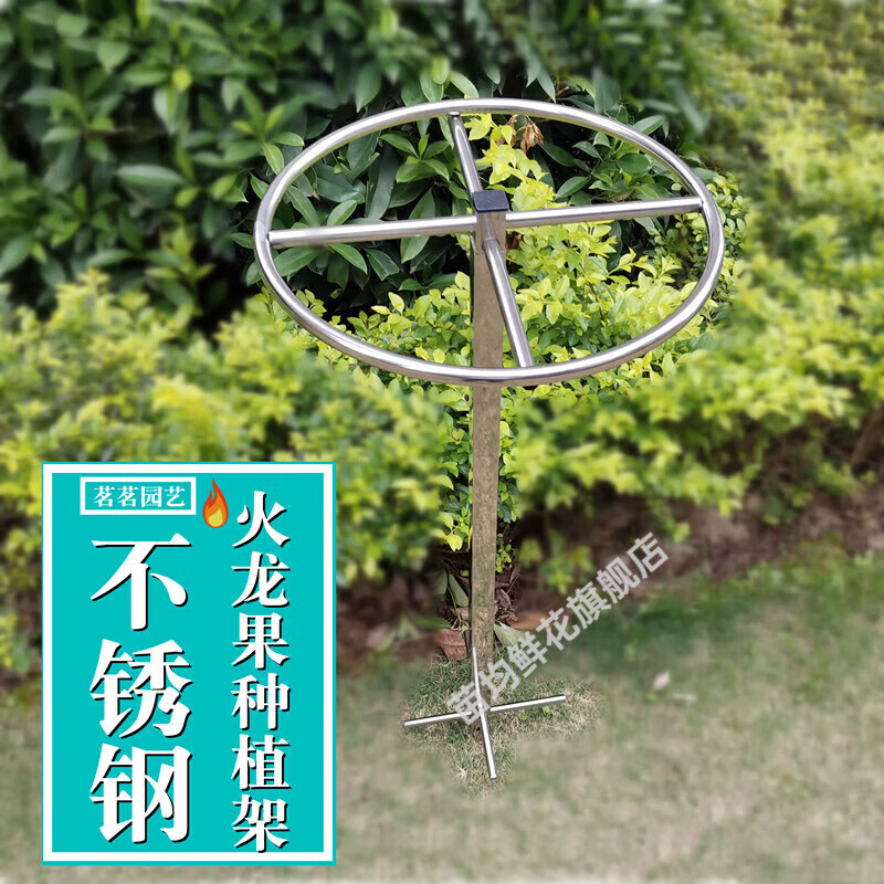 beyzk火龙果架不锈钢种植架火龙果支撑架地栽盆栽果树支架室外用架