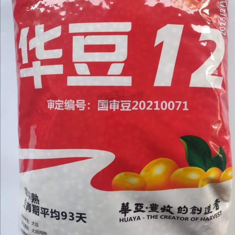 华豆12号黄豆种子 春夏季大豆种籽大田抗病大粒黄豆早中熟 精品种子