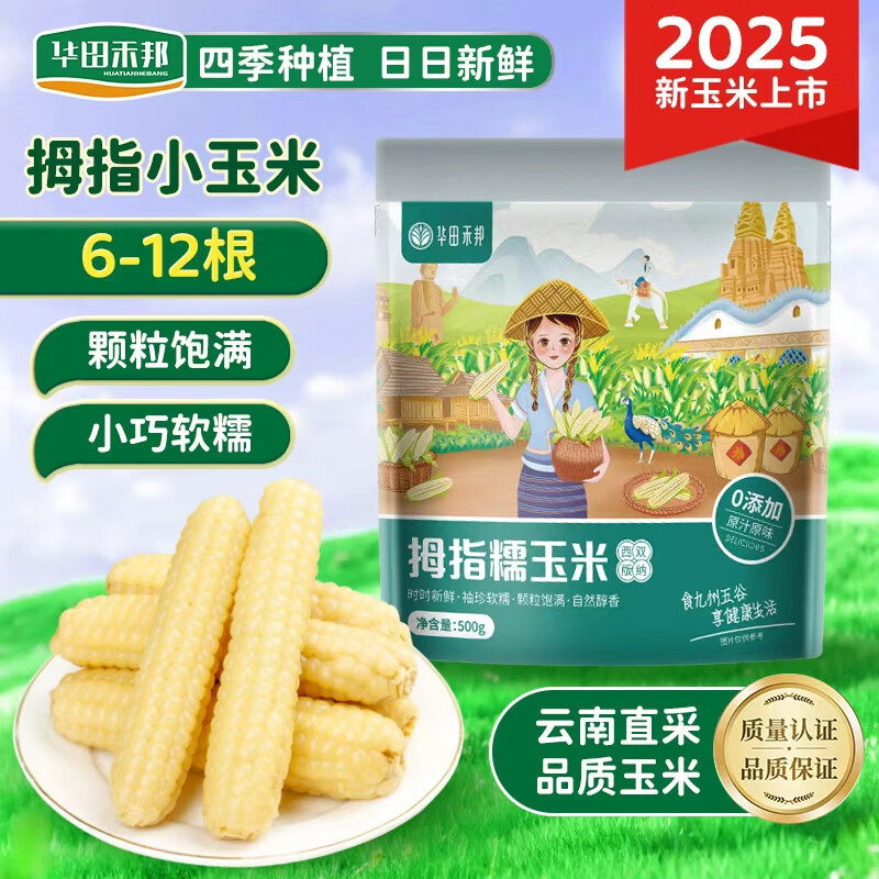 华田禾邦【新玉米】云南拇指玉米1斤(6-12根)儿童甜糯玉米棒真空直抽 早餐