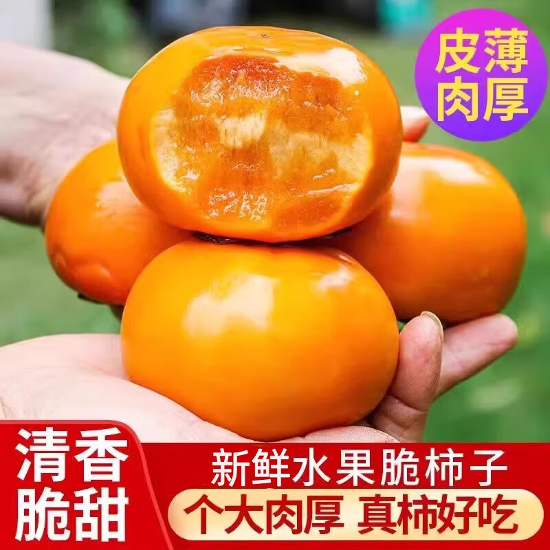 北森南屿云南巧克力脆柿当季新鲜水果脆甜爽口现摘现发 软硬双吃 削皮吃 脆柿带箱5斤(单果约70-100g),