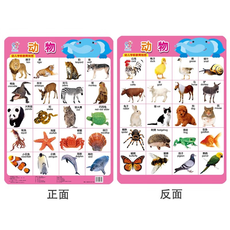 ׶ѧǰͼ˫Ӥ׶ɹͼ֪  ͼʶƴһ ֪ͥǽ ֪ 3.32Ԫ