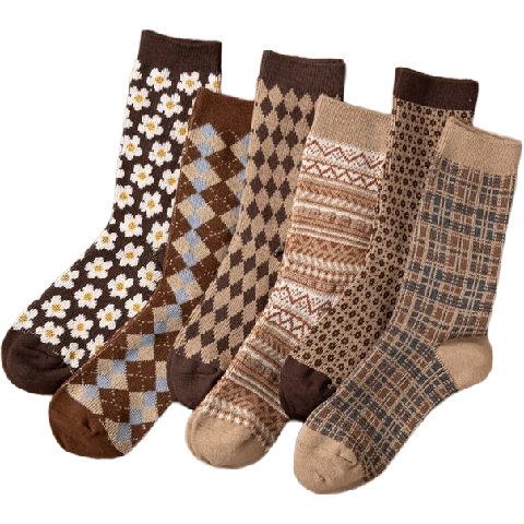  ŮʿͲ 6˫װ ﶬϵŶѶ Ͳѧ˶ 14.95Ԫ(ȯ)