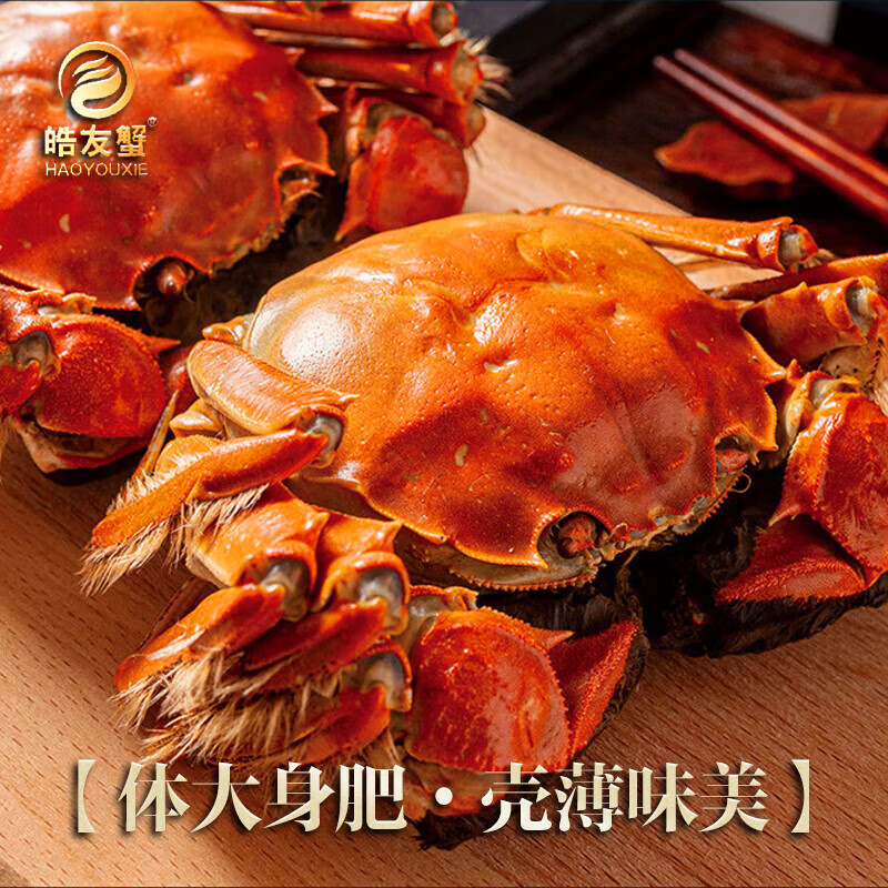 【活蟹】皓友兴大闸蟹 全母现货鲜活螃蟹生鲜海鲜中秋礼盒装 公4.0两母3.0两5对10只