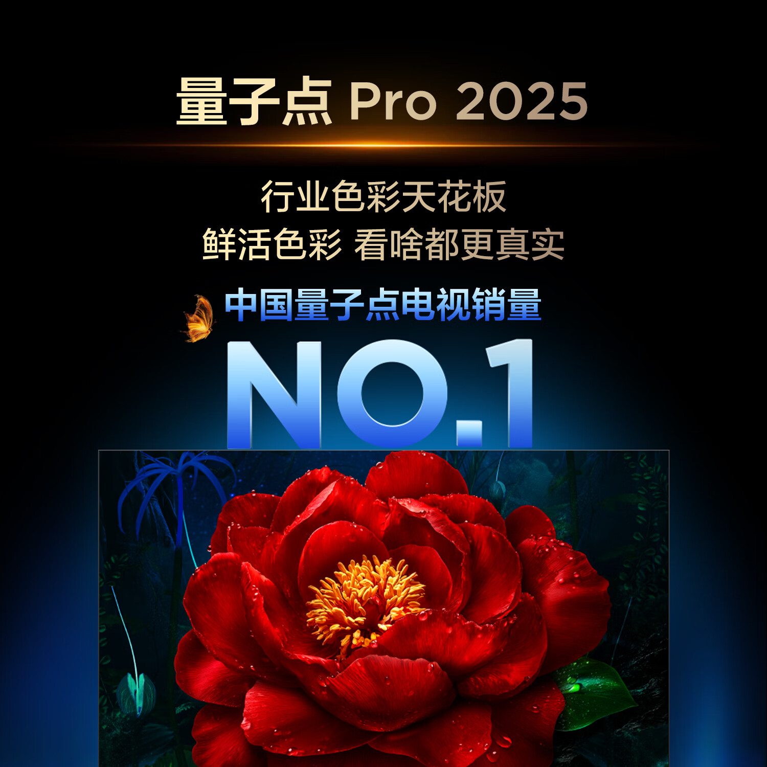 TCL 75T6L 包安装版【固定挂架送装一体】75英寸 QD-Mini LED电视 T6L+安装服务含挂架