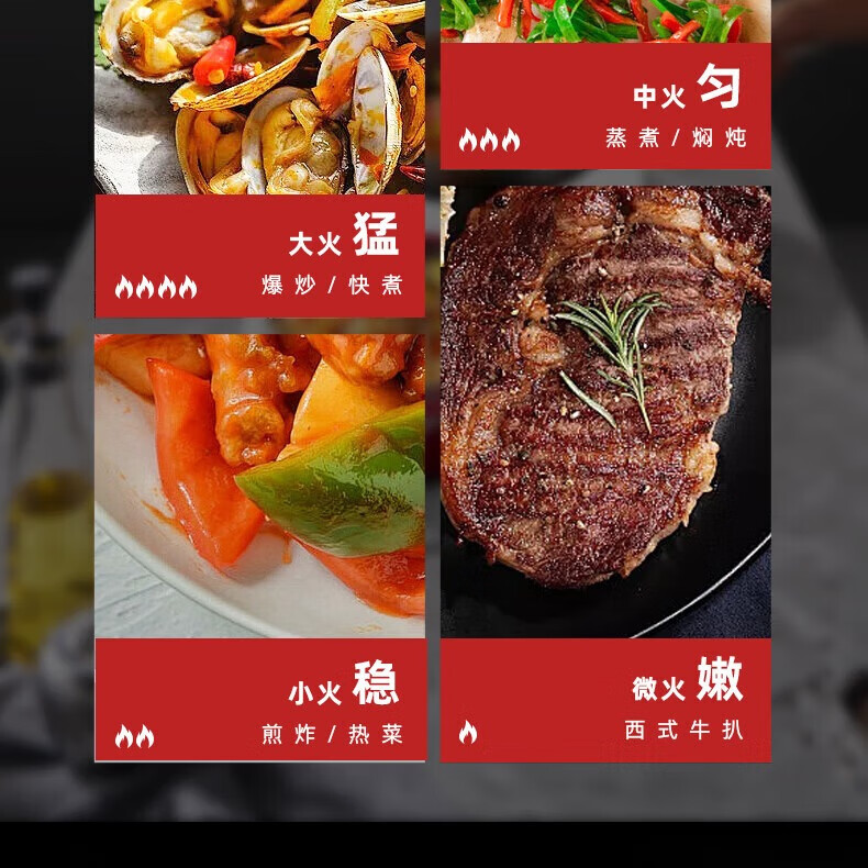 SESDERMA电磁炉嵌入式双灶3500W大功率平面台式电磁炉电陶炉镶嵌式家用双头电磁灶多功能电灶 其他气源 黑色双灶电磁炉（3500w） 纯电