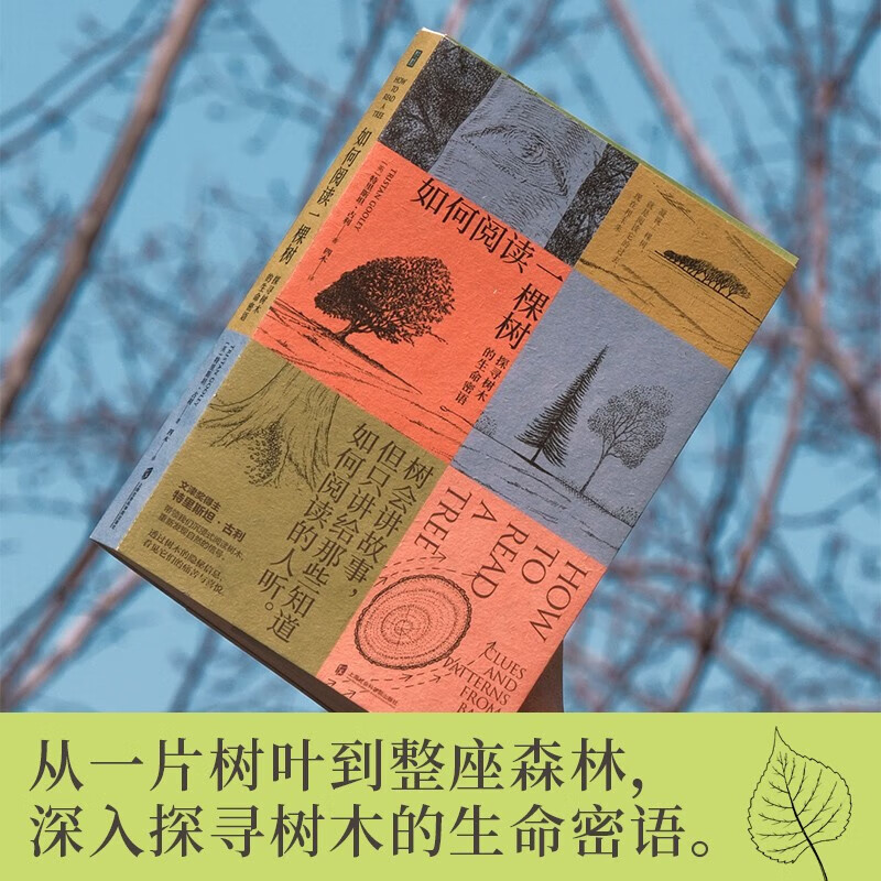 如何阅读一棵树 树会讲故事，但只讲给知道如何阅读的人听。文津奖得主特里斯坦·古利全新力作。 如何阅读一棵树