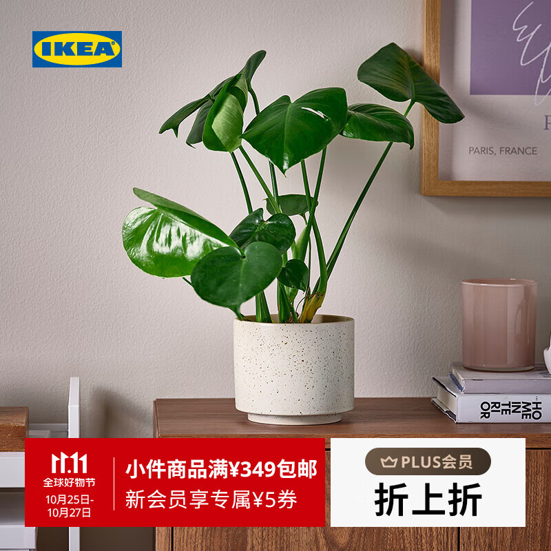 宜家（IKEA）【新品】SANDKORSBAR桑雪斯拜装饰花盆水培绿植摆件家用 装饰用花盆米黄色12cm