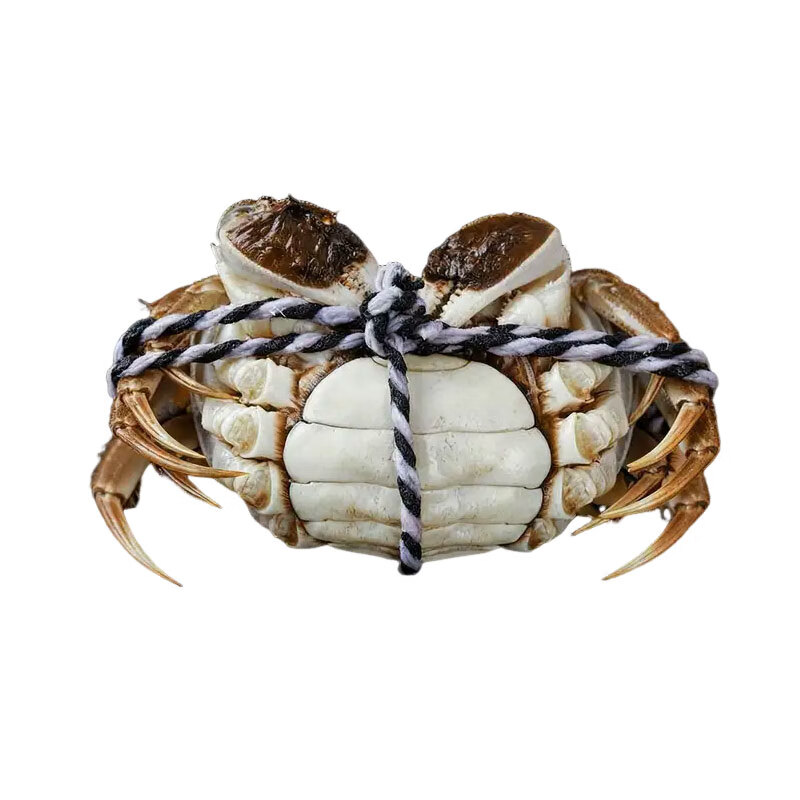 【活蟹】皓友兴大闸蟹 全母现货鲜活螃蟹生鲜海鲜中秋礼盒装 公4.0两母3.0两5对10只