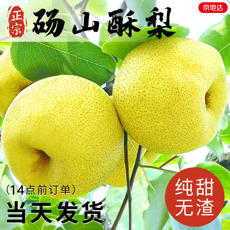 ���ش�����ɽ�����澻��4.5�ﵥ��250g+���ӵ�������ˮ��Դͷֱ������