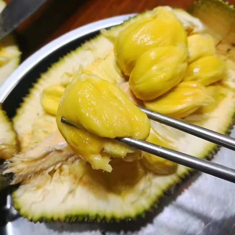 田园东方海南榴莲蜜热带水果 软糯香甜 (包6颗果肉/个)(顺丰)榴莲蜜 2-3斤(约1个装)