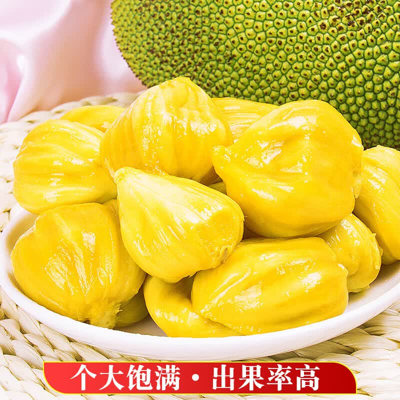 忆京源【顺丰速运】正宗海南三亚榴莲蜜新鲜现摘香甜软糯热带水果整箱 2-3斤精选大果 【现摘当天发货】