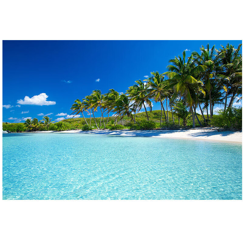 溪沫大海风景画贴纸背景墙壁装饰画海水蓝天白云椰树的海浪太阳海滩边