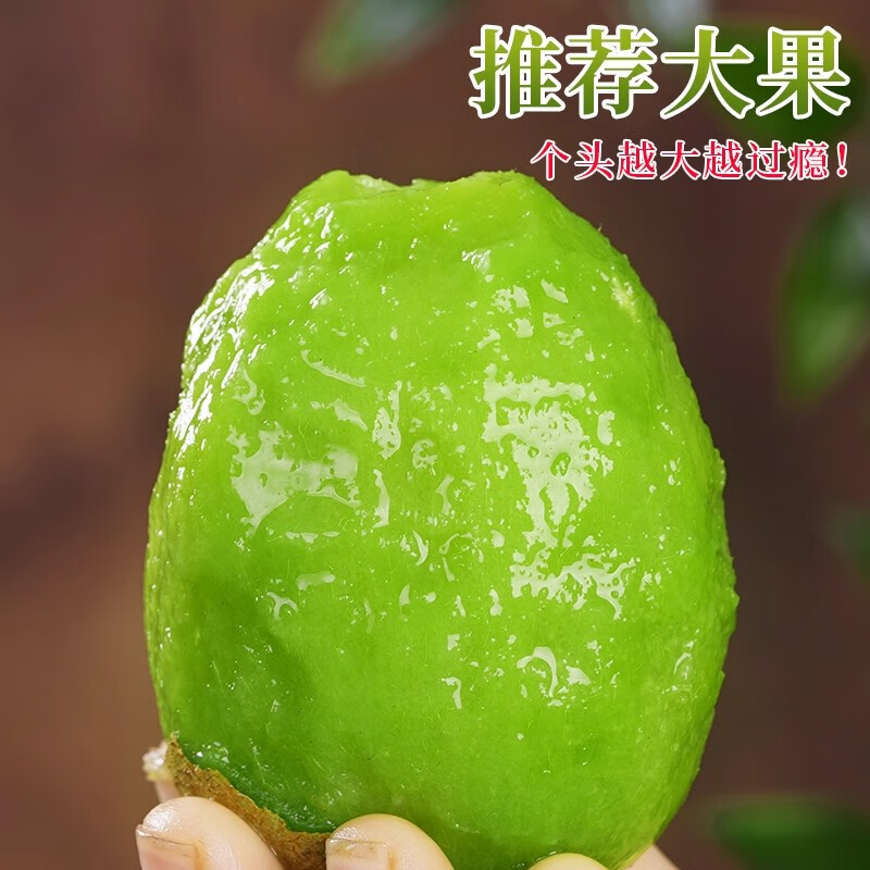 五斤九斤装正宗陕西眉县徐香猕猴桃2025新果源头现摘现发坏果包赔 5斤净重4.5斤【90%人选择】 【清甜-迷你果】小果60-70g