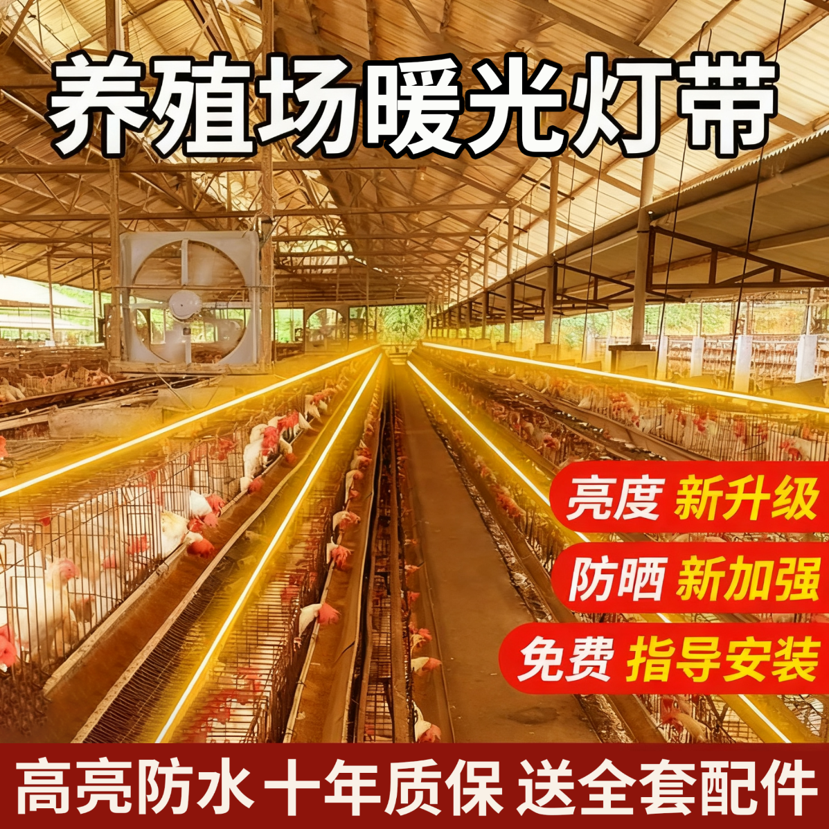 拉伯塔暖光led灯带养殖场专用户外防水220V苍蝇克星超亮照明工程亮化灯 【养殖专用高亮款】暖光-72珠 【10米】