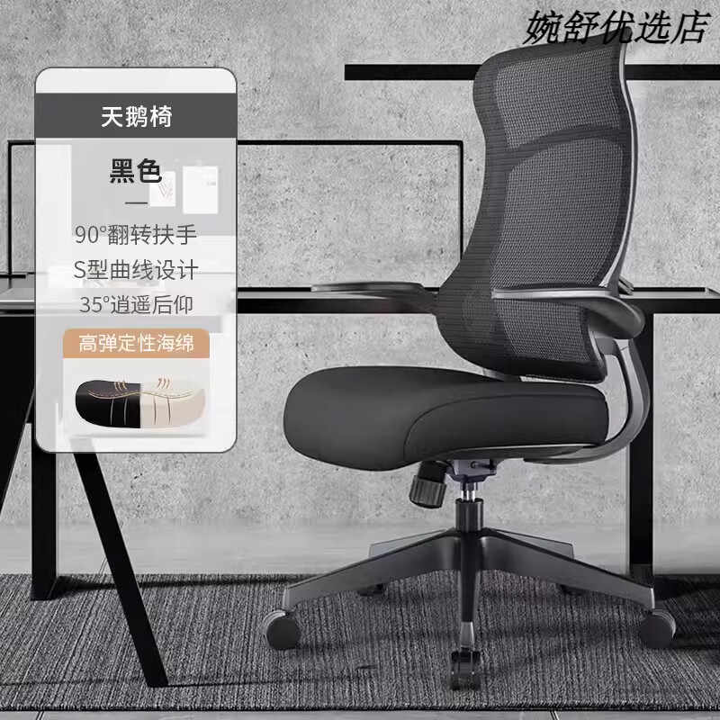 恒林天鵝椅學(xué)習(xí)椅子家用久坐舒適人體工學(xué)電腦椅書桌辦公座椅轉(zhuǎn)椅 黑色+翻轉(zhuǎn)扶手 尼龍腳 x 旋轉(zhuǎn) 升降扶手