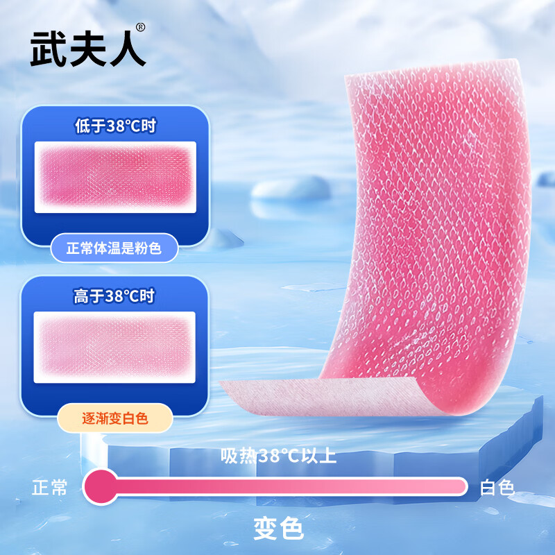 武夫人医用退热贴婴幼儿儿童成人宝宝高烧降温小儿物理退热冰宝贴 10贴医用退热贴
