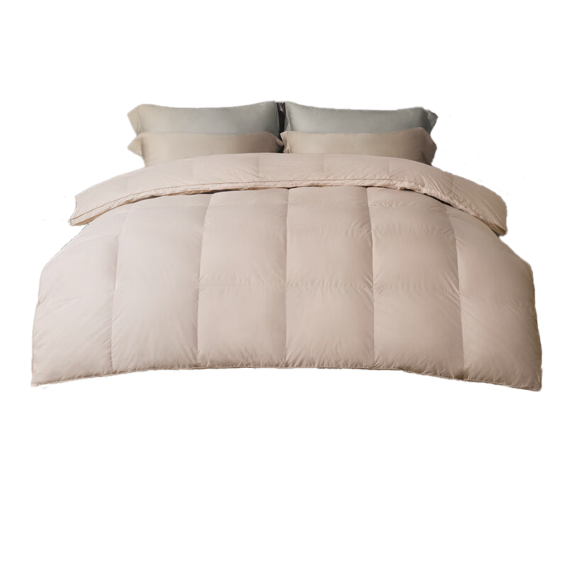 �������� Duvet D'oie��Ψ��95���ޱ��������ǽ������ޱ�����1000g 2*2.3��