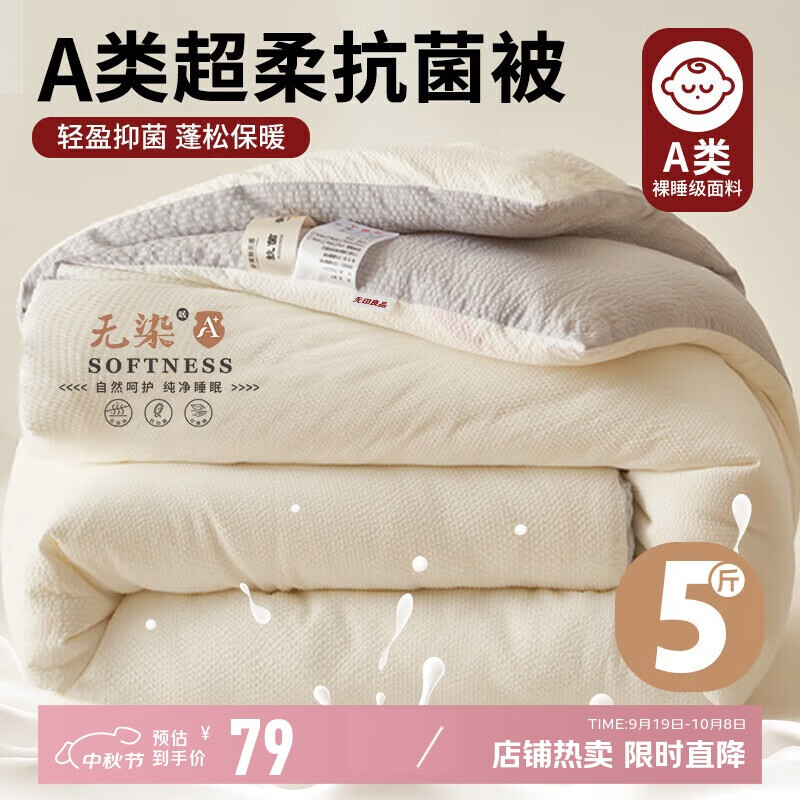 无印良品A类抗菌秋冬被 加厚单人宿舍秋冬被芯四季空调被子 150*200cm5斤
