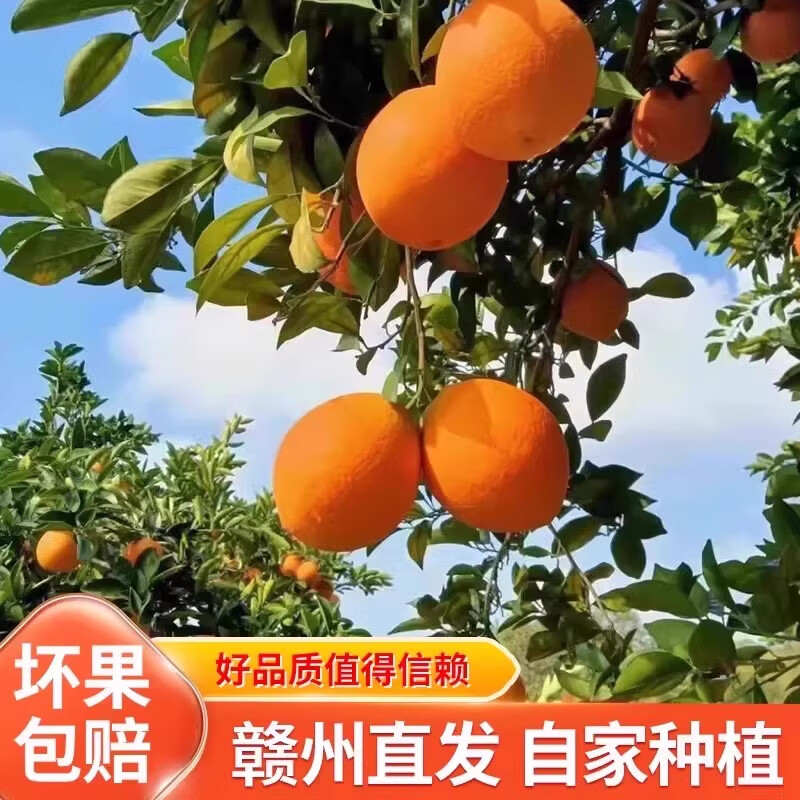 庾丰江西赣南脐橙新鲜橙子孕妇水果整箱年货送礼团购纽荷尔榨汁手剥橙 10斤装（净果9斤） 单果200g+