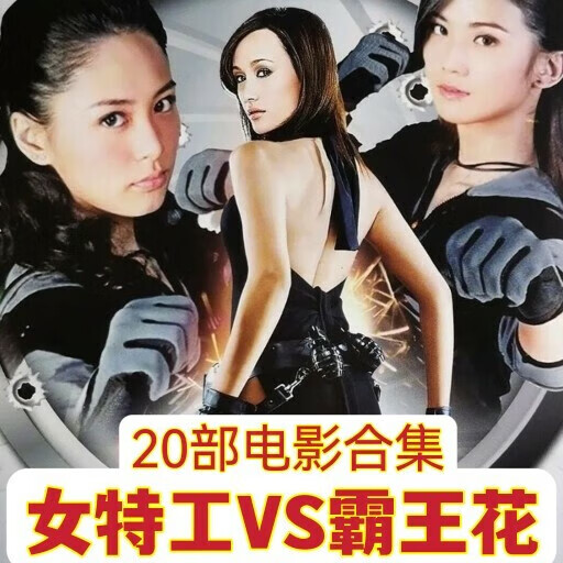 雅漫林20部动作武打电影光碟女特工与霸王花系列电影dvd碟片视频