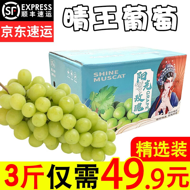 网络葡萄提子商品历史价格查询|葡萄提子价格走势图