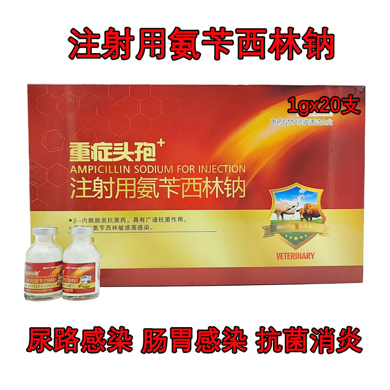兽药注射用氨苄西林钠猪牛羊尿路感染咳嗽肺炎气喘消炎1g粉针兽用 1盒