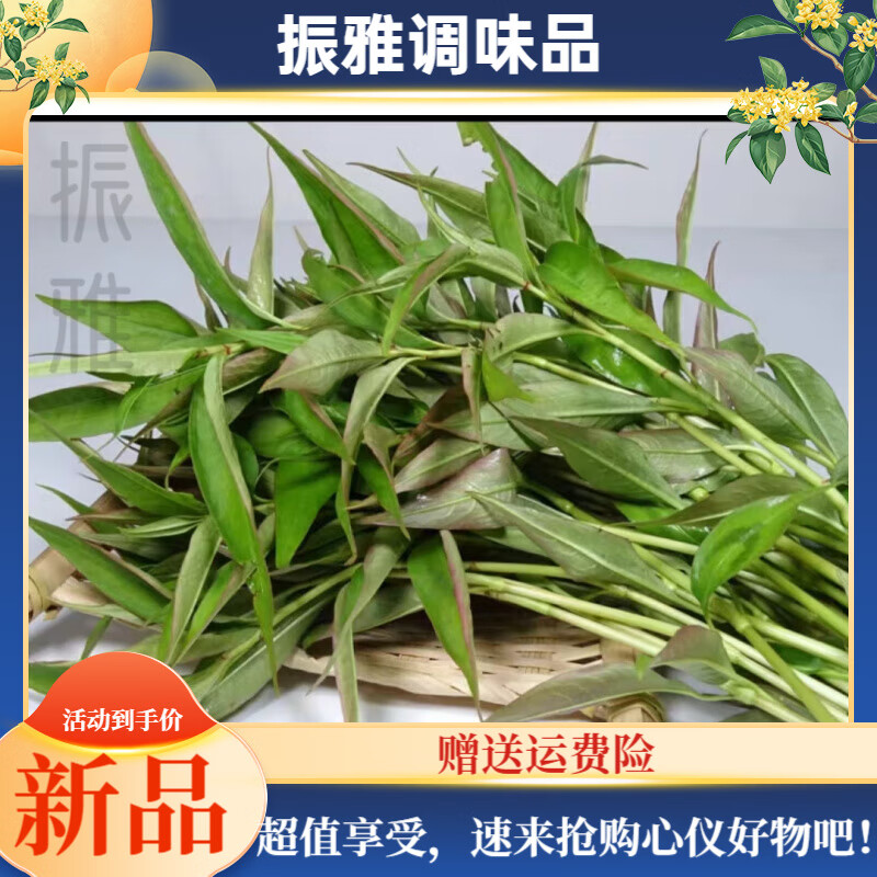 梦信云南德宏特产新鲜香蓼柳 香柳菜辣蓼草 芳香扑鼻 煮鱼撒撇凉拌