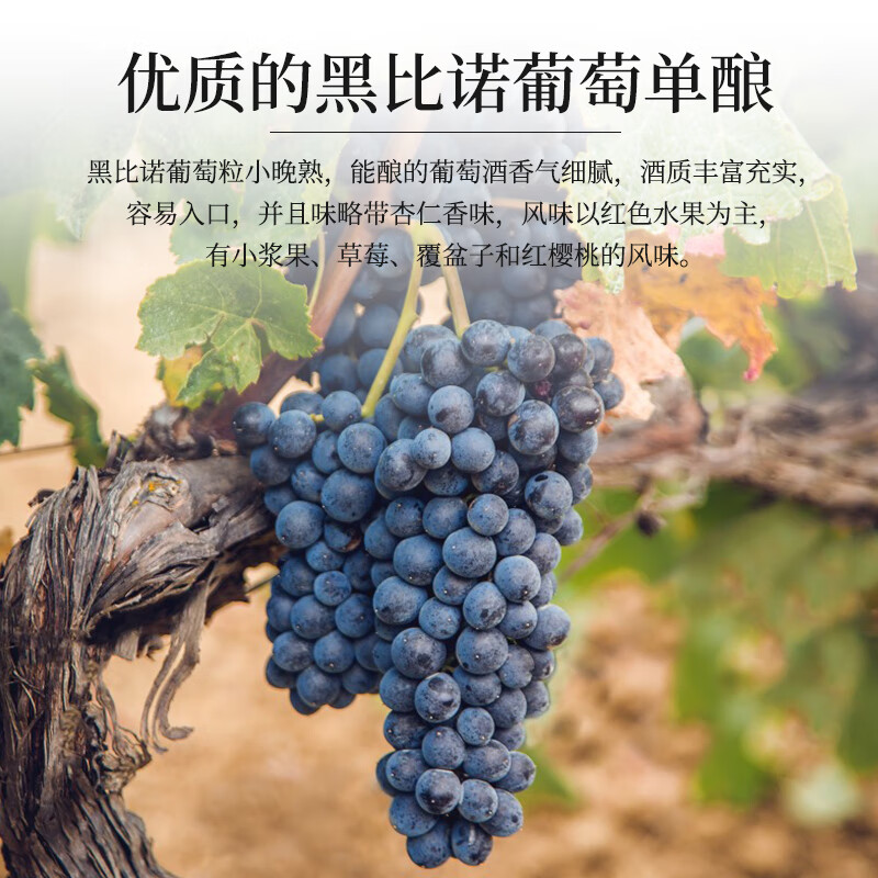 帝月宁夏贺兰山1984黑比诺干红葡萄酒750ml微醺国产红酒整箱送礼自饮 【6瓶装】1984干红750ml*6（整箱）