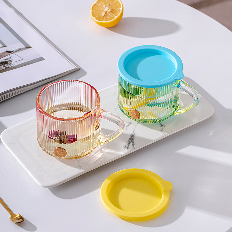 LOVWISHins风竖纹玻璃杯带把水杯家用饮料杯高颜值马克杯高级感咖啡杯子 乐映竖纹把杯【混色】350ml*2