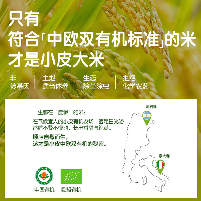 小皮（Little Freddie）有机米粉160g婴幼儿米粉婴儿辅食 初添 有机大米粉 160g*3袋