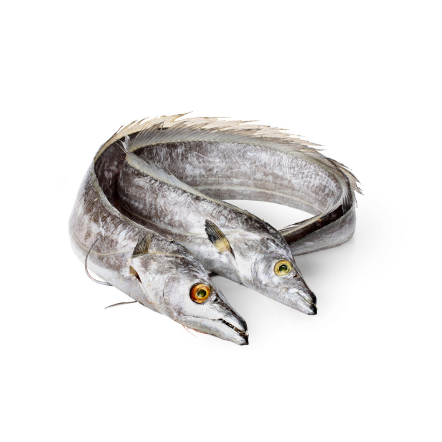 井澳南澳岛新鲜海捕深海纯正野生大带鱼生鲜海产鱼片顺丰产地直邮 400g*3盒 [精选]又宽又厚大带鱼中段